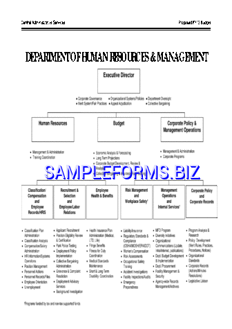 Human Resources Organizational Chart 4 pdf free